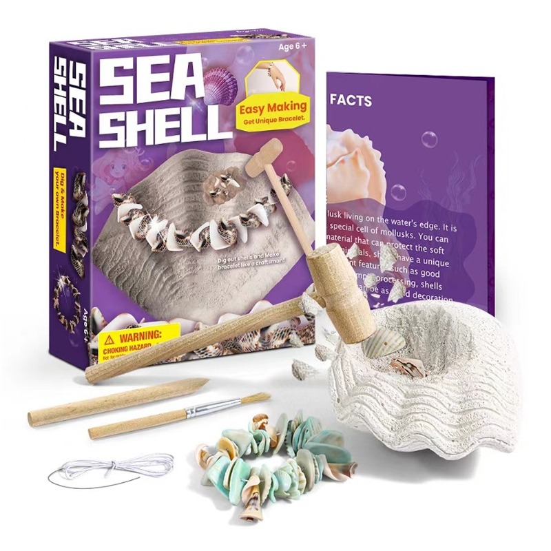 Sea Shell Bracelet Dig