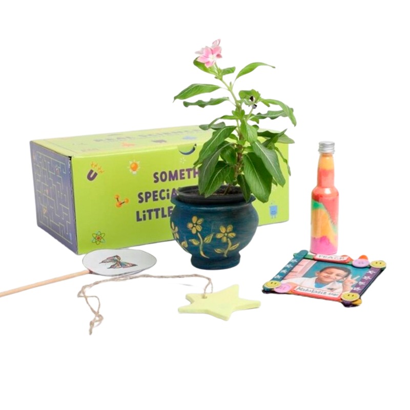 Real Science - Arts And Craft Box