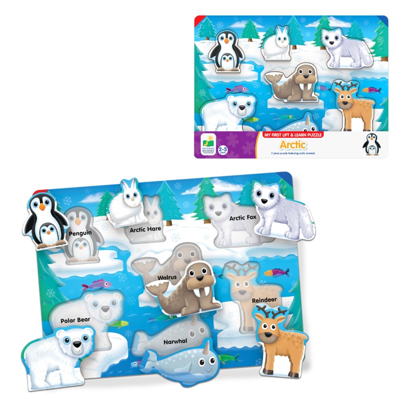 The Learning Journey My First Lift & Learn Artic