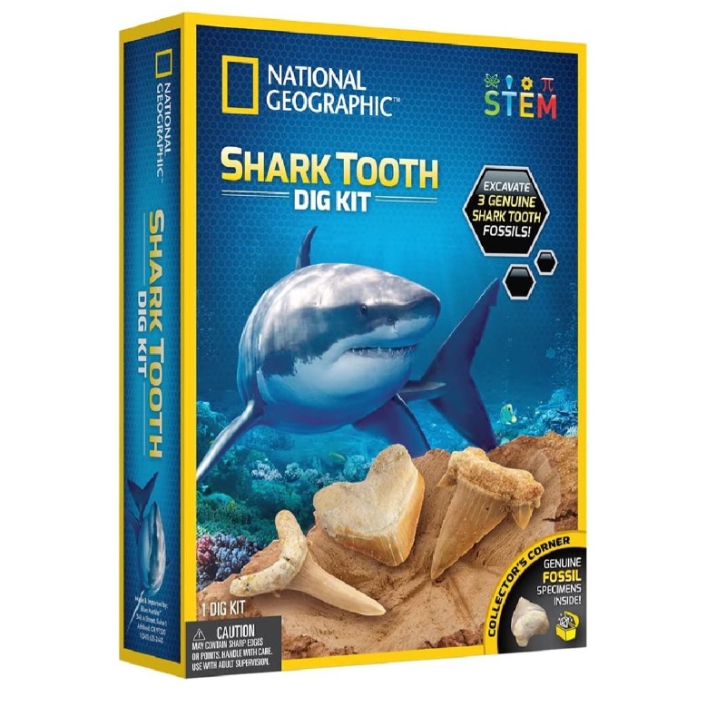 National Geographic Shark Tooth Dig Kit