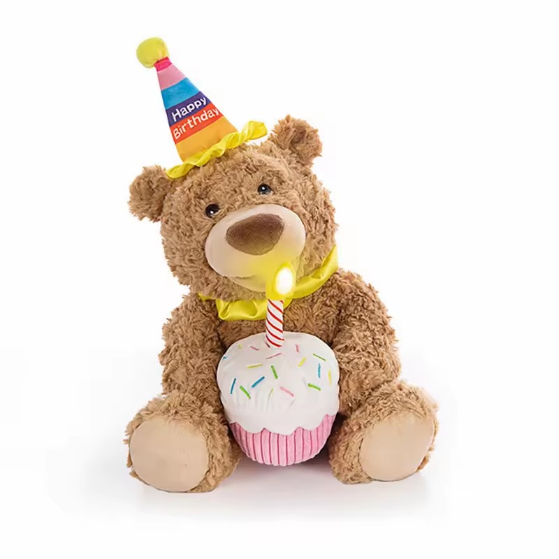 Birthday Bear Plush